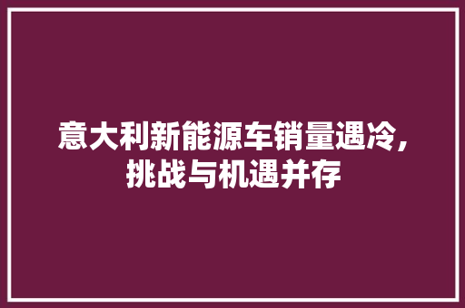 意大利新能源车销量遇冷,挑战与机遇并存  第1张