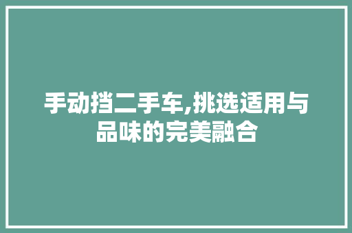 手动挡二手车,挑选适用与品味的完美融合  第1张