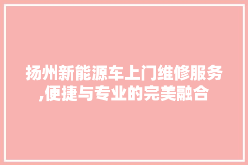 扬州新能源车上门维修服务,便捷与专业的完美融合  第1张