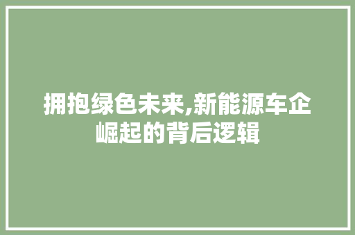 拥抱绿色未来,新能源车企崛起的背后逻辑  第1张