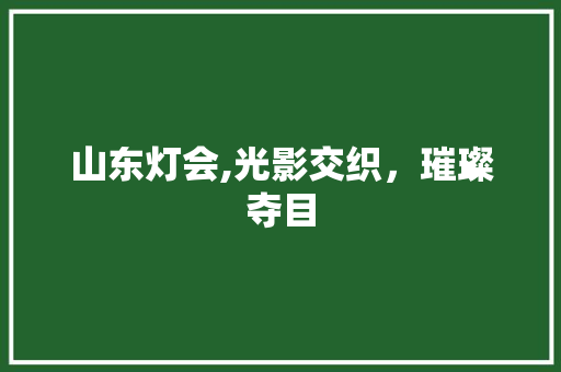 山东灯会,光影交织，璀璨夺目