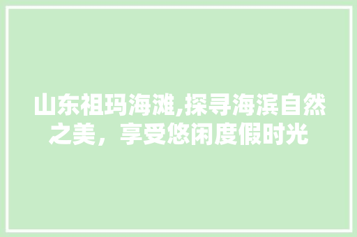 山东祖玛海滩,探寻海滨自然之美，享受悠闲度假时光  第1张