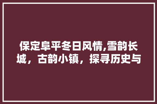 保定阜平冬日风情,雪韵长城，古韵小镇，探寻历史与现代的交融