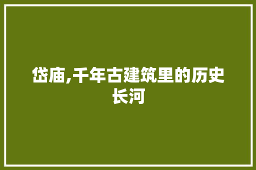 岱庙,千年古建筑里的历史长河