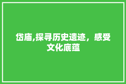 岱庙,探寻历史遗迹，感受文化底蕴