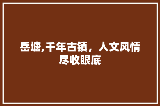 岳塘,千年古镇，人文风情尽收眼底