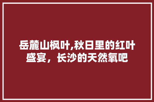 岳麓山枫叶,秋日里的红叶盛宴，长沙的天然氧吧