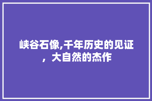 峡谷石像,千年历史的见证，大自然的杰作  第1张