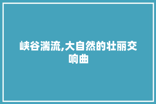 峡谷湍流,大自然的壮丽交响曲  第1张