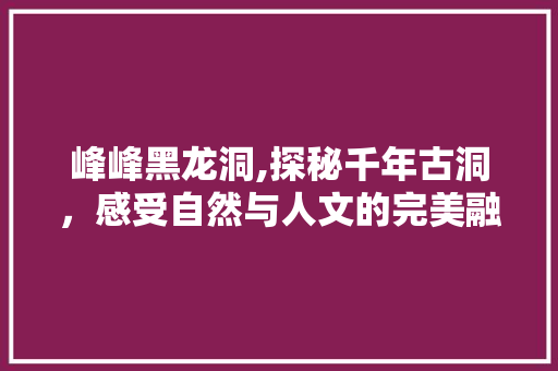 峰峰黑龙洞,探秘千年古洞，感受自然与人文的完美融合