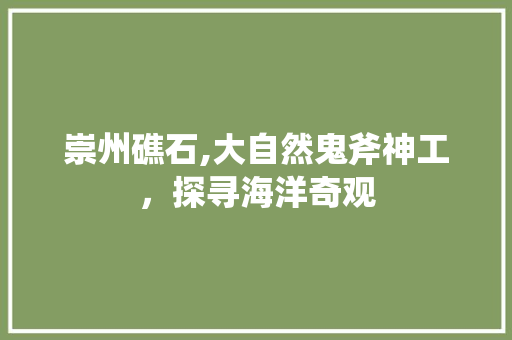 崇州礁石,大自然鬼斧神工，探寻海洋奇观