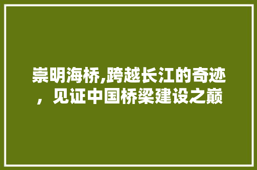 崇明海桥,跨越长江的奇迹，见证中国桥梁建设之巅