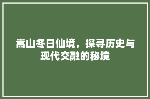 嵩山冬日仙境，探寻历史与现代交融的秘境