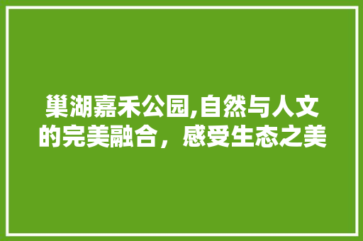 巢湖嘉禾公园,自然与人文的完美融合，感受生态之美