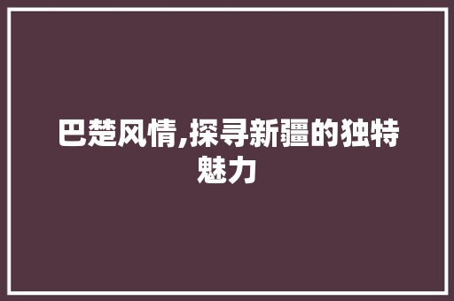 巴楚风情,探寻新疆的独特魅力