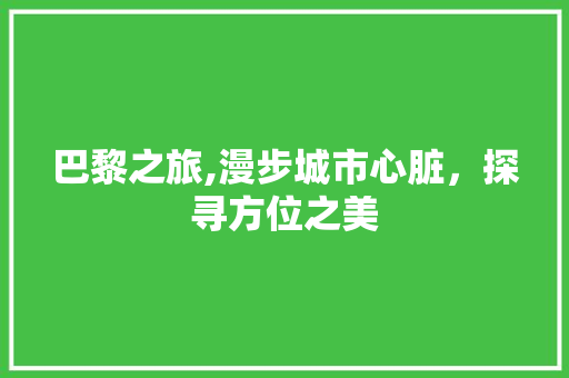 巴黎之旅,漫步城市心脏，探寻方位之美