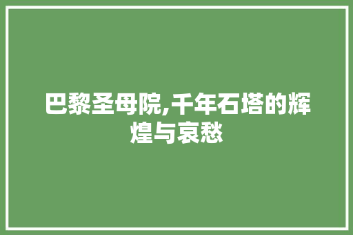 巴黎圣母院,千年石塔的辉煌与哀愁