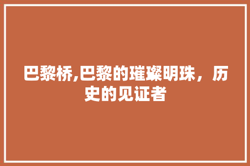 巴黎桥,巴黎的璀璨明珠，历史的见证者