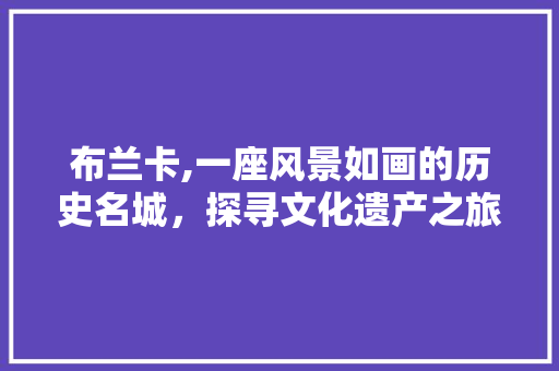 布兰卡,一座风景如画的历史名城，探寻文化遗产之旅  第1张