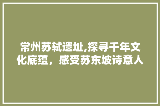 常州苏轼遗址,探寻千年文化底蕴，感受苏东坡诗意人生