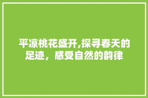 平凉桃花盛开,探寻春天的足迹，感受自然的韵律