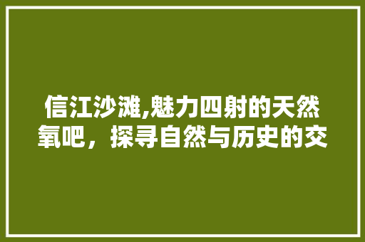 信江沙滩,魅力四射的天然氧吧，探寻自然与历史的交融之地