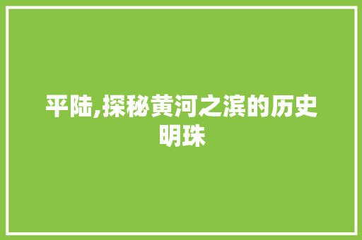 平陆,探秘黄河之滨的历史明珠  第1张