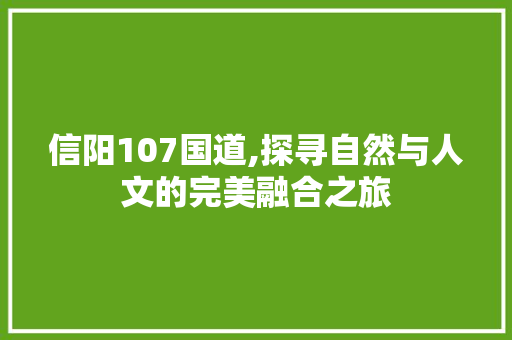 信阳107国道,探寻自然与人文的完美融合之旅