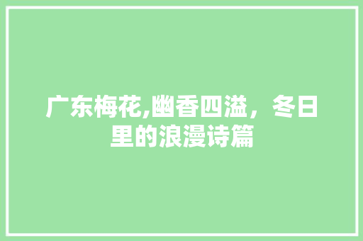 广东梅花,幽香四溢，冬日里的浪漫诗篇