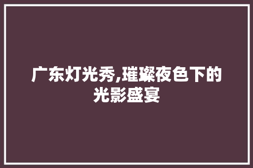 广东灯光秀,璀璨夜色下的光影盛宴