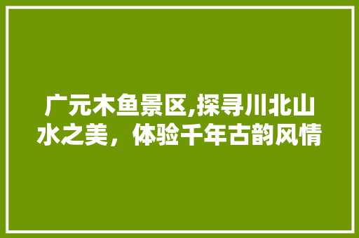 广元木鱼景区,探寻川北山水之美，体验千年古韵风情