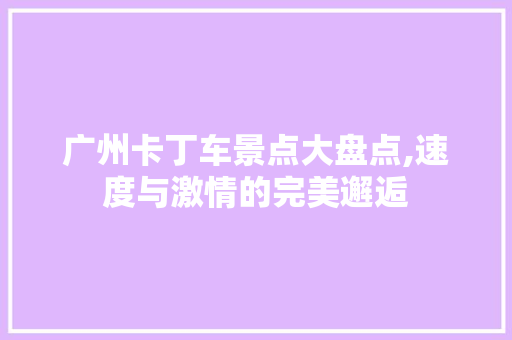 广州卡丁车景点大盘点,速度与激情的完美邂逅