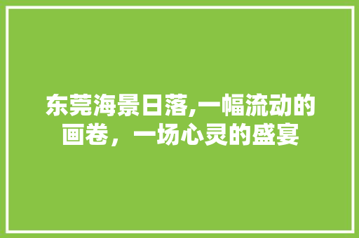 东莞海景日落,一幅流动的画卷，一场心灵的盛宴