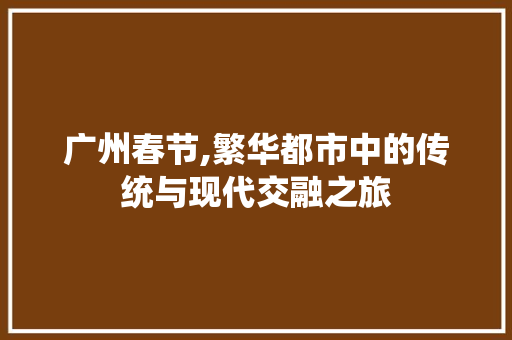 广州春节,繁华都市中的传统与现代交融之旅  第1张