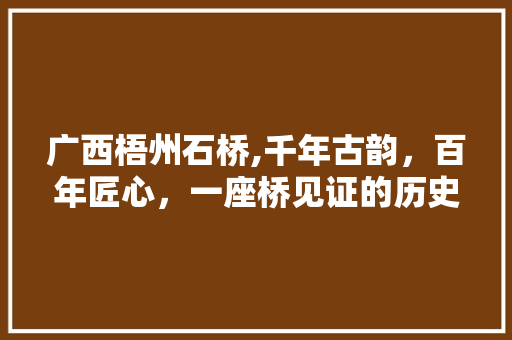 广西梧州石桥,千年古韵，百年匠心，一座桥见证的历史变迁