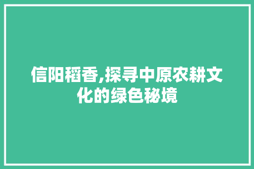 信阳稻香,探寻中原农耕文化的绿色秘境