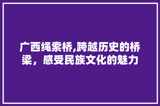 广西绳索桥,跨越历史的桥梁，感受民族文化的魅力