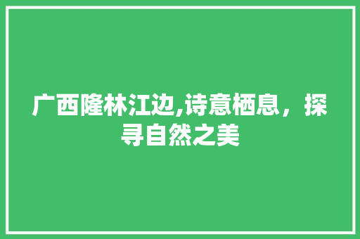 广西隆林江边,诗意栖息，探寻自然之美