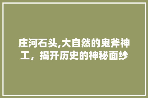 庄河石头,大自然的鬼斧神工，揭开历史的神秘面纱