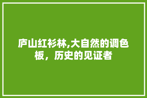 庐山红衫林,大自然的调色板，历史的见证者  第1张