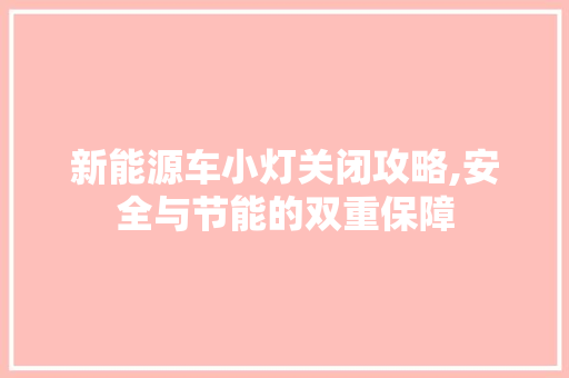 新能源车小灯关闭攻略,安全与节能的双重保障  第1张