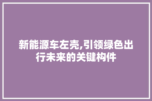 新能源车左壳,引领绿色出行未来的关键构件  第1张