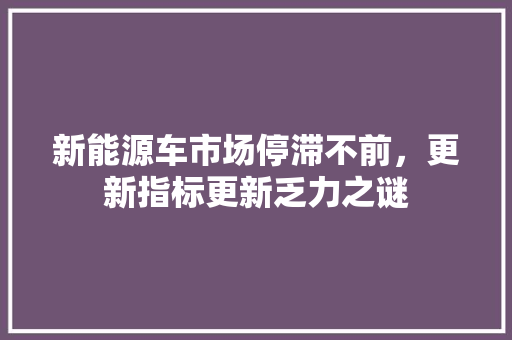 新能源车市场停滞不前，更新指标更新乏力之谜  第1张