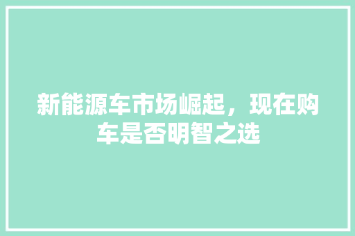 新能源车市场崛起，现在购车是否明智之选  第1张