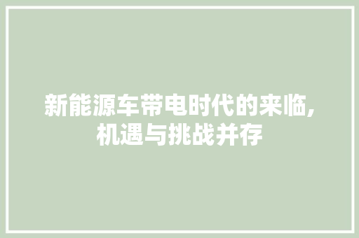 新能源车带电时代的来临,机遇与挑战并存  第1张