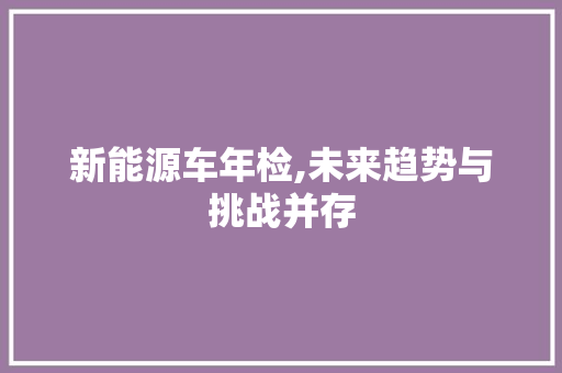 新能源车年检,未来趋势与挑战并存  第1张