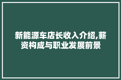 新能源车店长收入介绍,薪资构成与职业发展前景