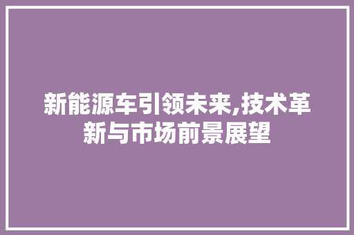 新能源车引领未来,技术革新与市场前景展望  第1张