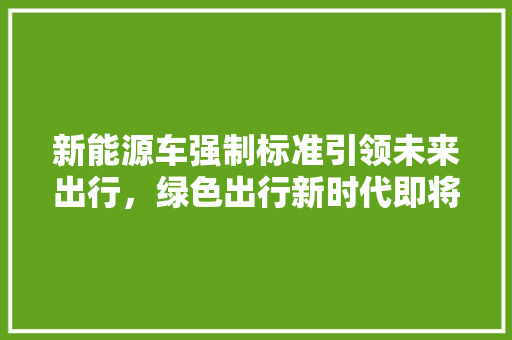 新能源车强制标准引领未来出行，绿色出行新时代即将来临