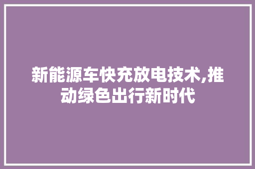 新能源车快充放电技术,推动绿色出行新时代